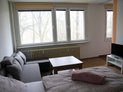Obytná místnost v dvoulůžkovém bytě k pronájmu v Pardubicích